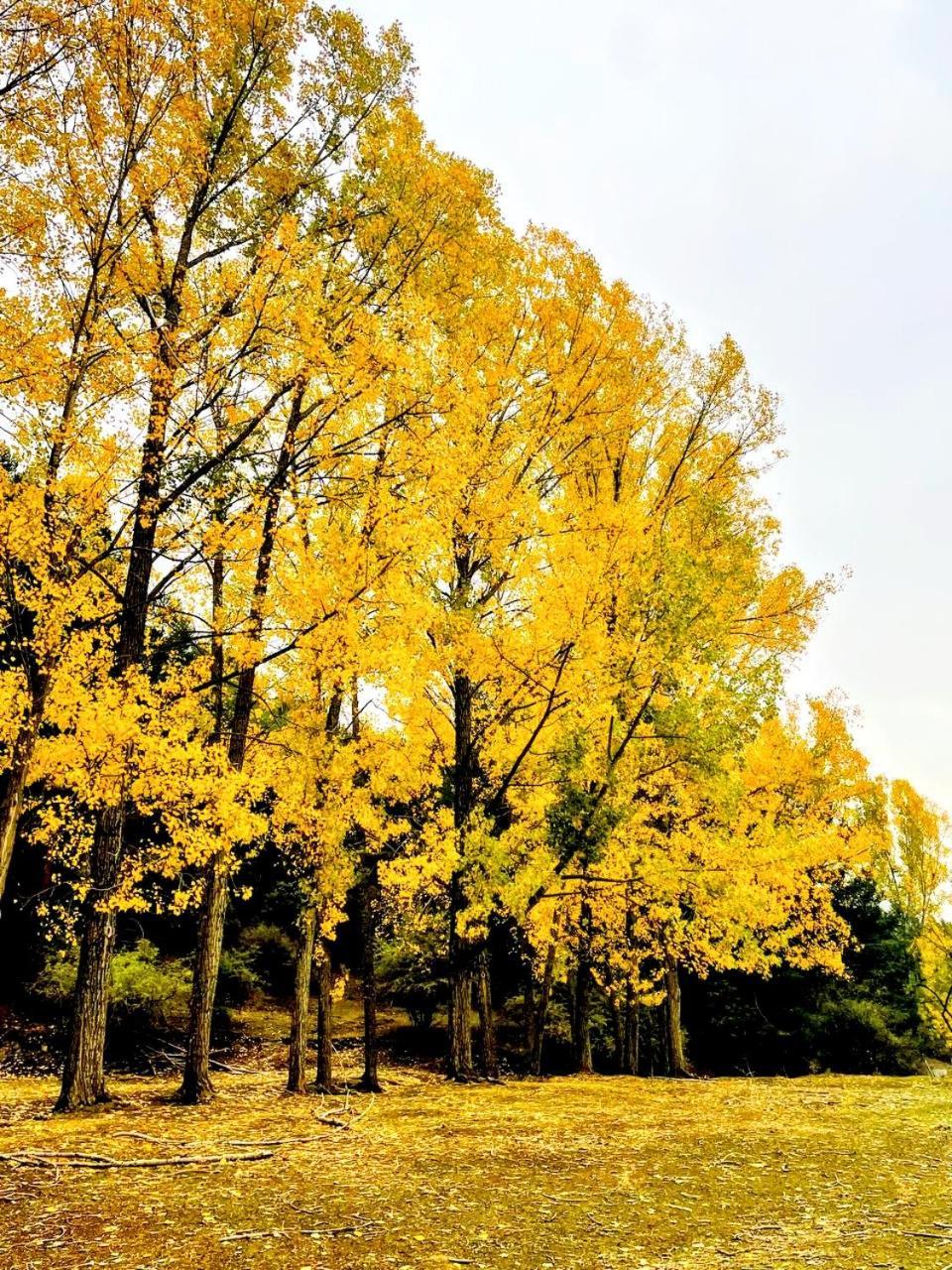 Las Colmenillas 1 ตรากาเซเต ภายนอก รูปภาพ