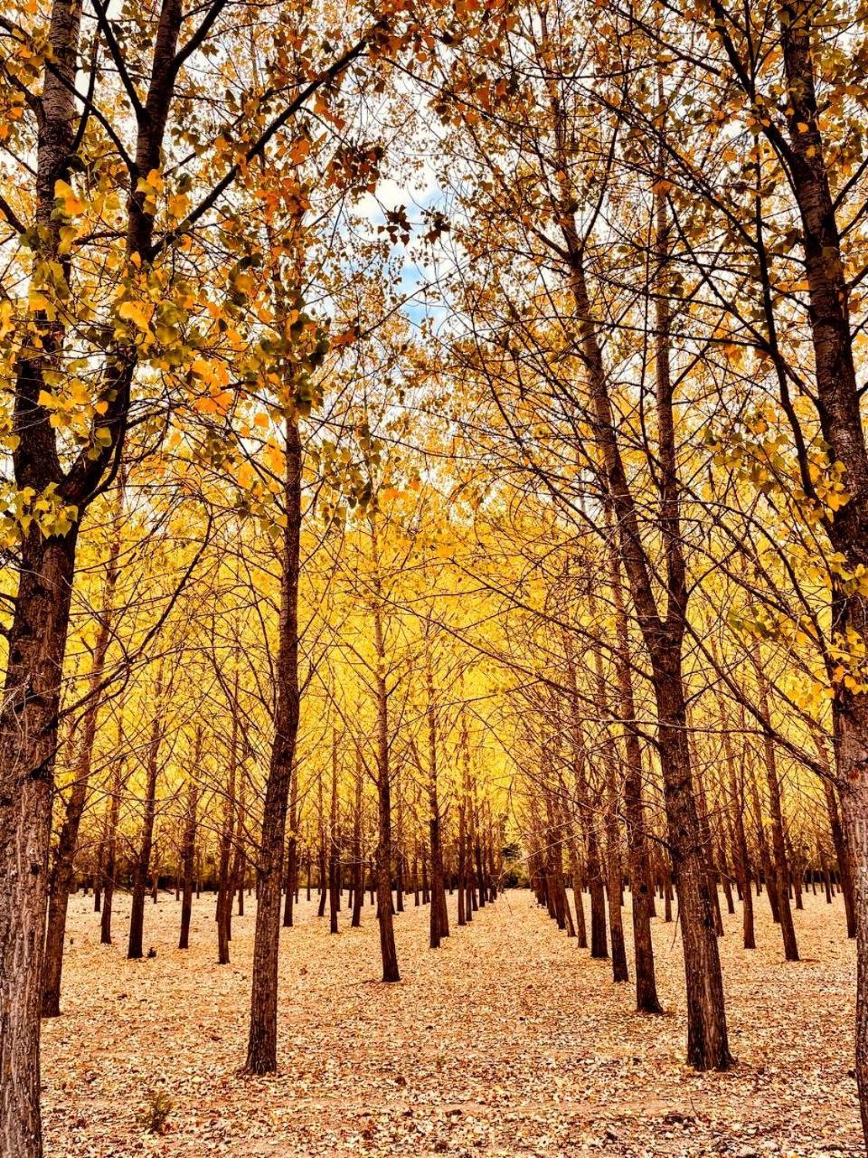 Las Colmenillas 1 ตรากาเซเต ภายนอก รูปภาพ