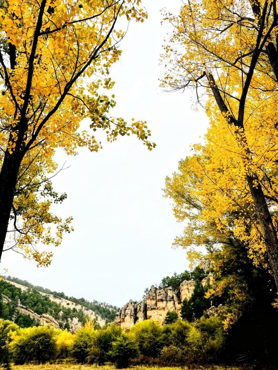 Las Colmenillas 1 ตรากาเซเต ภายนอก รูปภาพ